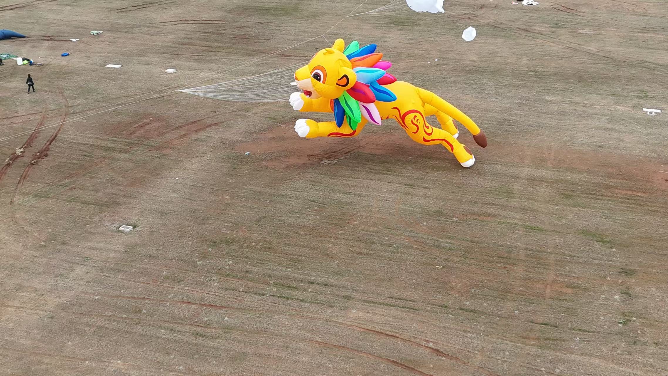 巴中市品牌风筝定制风筝制作 - 哪里好