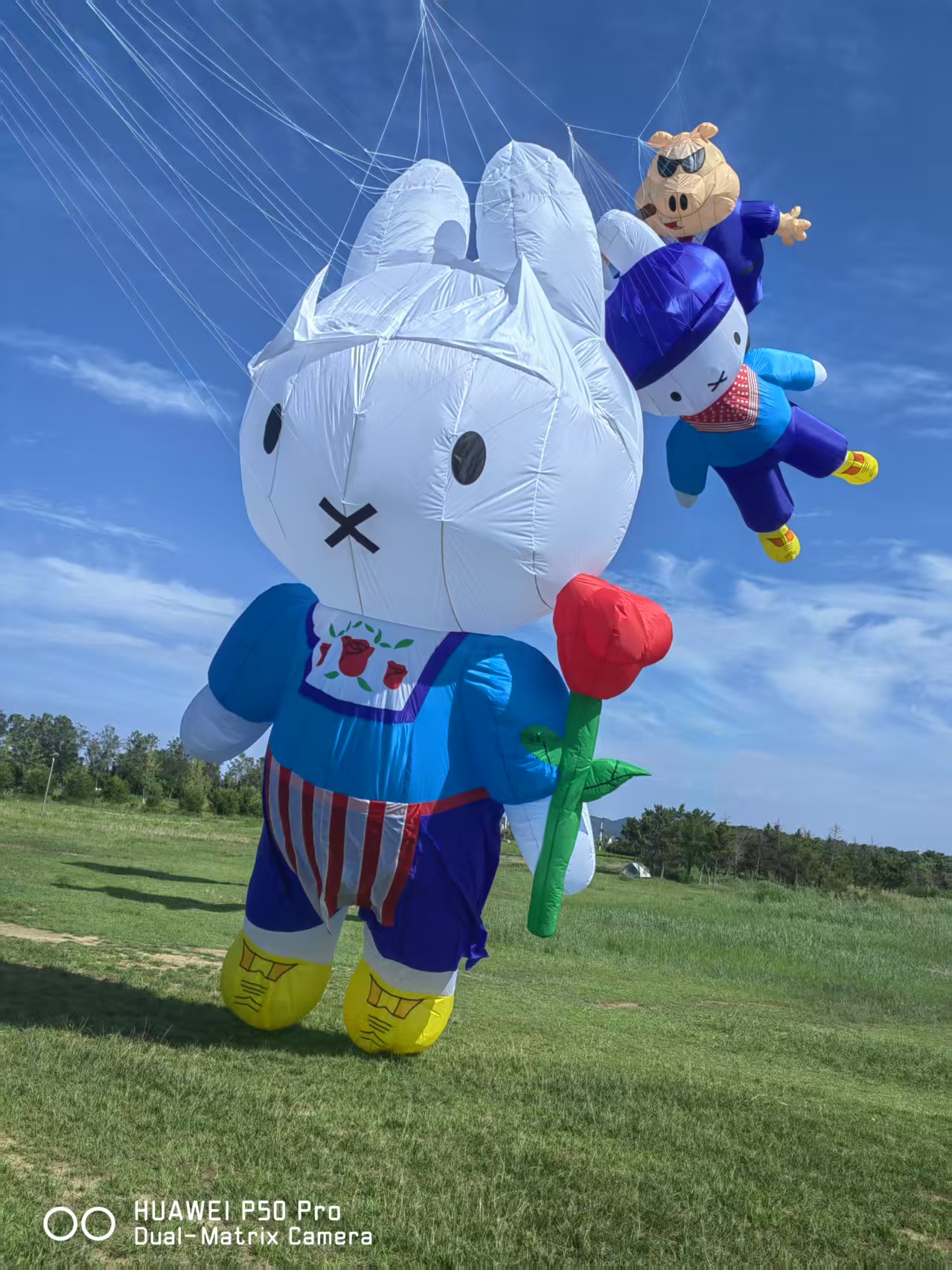 巴中市儿童风筝定制风筝制作 - 哪里好